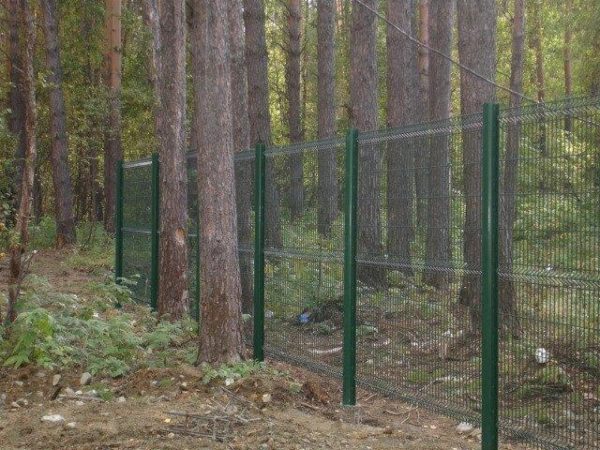 Сетчатое ограждение 3D. высотой 2 метра. пруток 3.5 мм. — изображение 4
