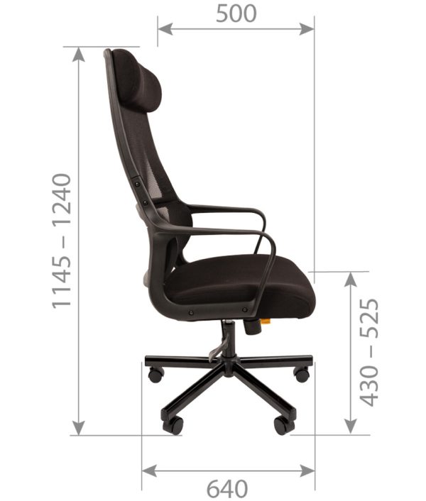 CHAIRMAN 590 фото